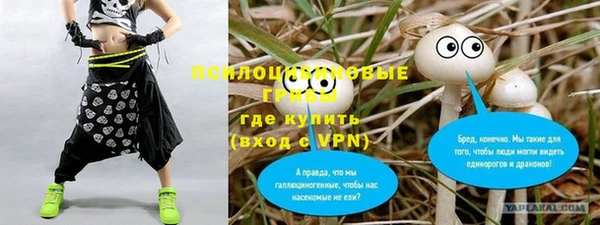 гидропоника Аркадак