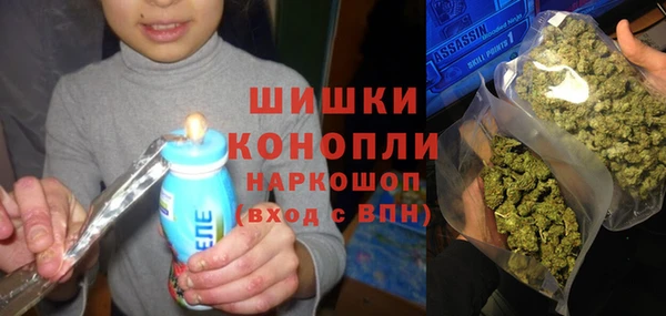 молекула духа Дубовка