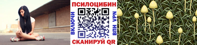 наркота  Кирово-Чепецк  Псилоцибиновые грибы Magic Shrooms 