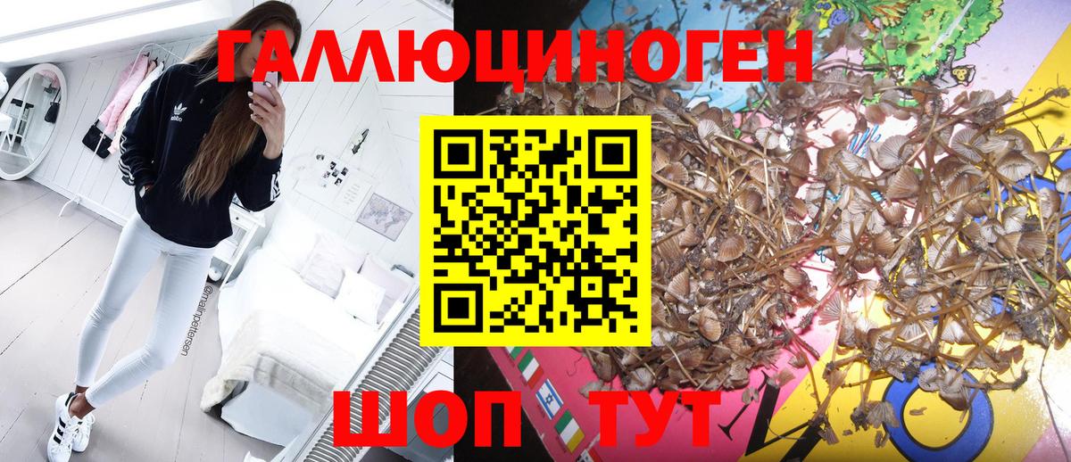Псилоцибиновые грибы ЛСД Кирово-Чепецк